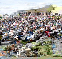 Riverfest Food Wine and Music Festival - Accommodation BNB