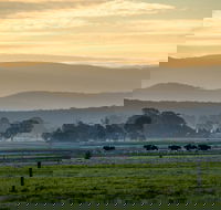 Rotary Club of Maffra Community Market - Accommodation BNB