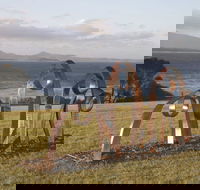 Sculpture Bermagui - Accommodation BNB