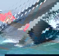 SeaLink Magnetic Island Race Week - Accommodation BNB