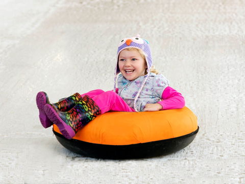 Snow Time In The Garden - Hunter Valley Gardens - Cancelled - Accommodation BNB 1