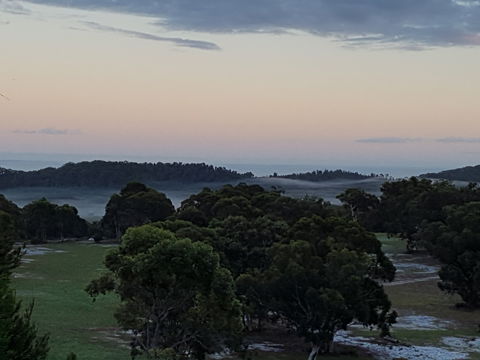 Straddie Festival Of Golf - Accommodation BNB 1