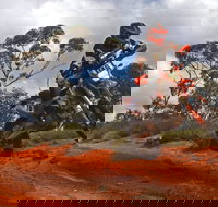 Sunraysia Safari Rally - Accommodation BNB