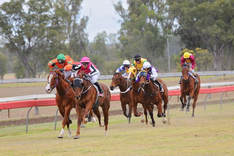 Thangool Races - Accommodation BNB 0