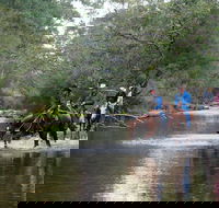 The Man From Snowy River Bush Festival - Accommodation BNB