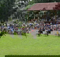 Tumut Boxing Day Races - Accommodation BNB