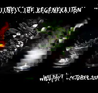 Wildfest - Annual Festival - Accommodation BNB