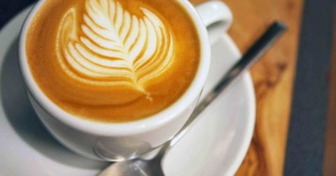 A Wild Night Out - Spring - Accommodation BNB 3