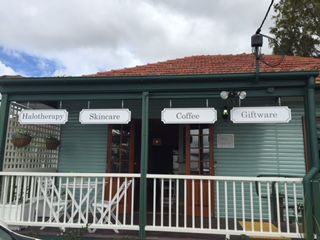 A Wild Night Out - Spring - Accommodation BNB 4