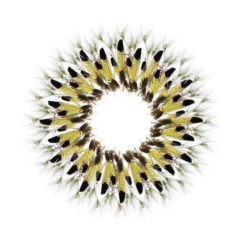 Adelaide Parklands Art Prize  Finalists Exhibition & Sale 2020 - Accommodation BNB 1