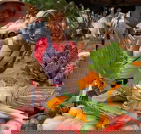 Albany Farmers Market - Accommodation BNB