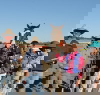 Annual Prairie Races - Accommodation BNB