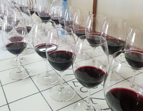 Australian Cool Climate Wine Show - Accommodation BNB 1