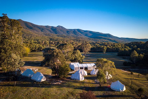 A Wild Night Out - Spring - Accommodation BNB 5