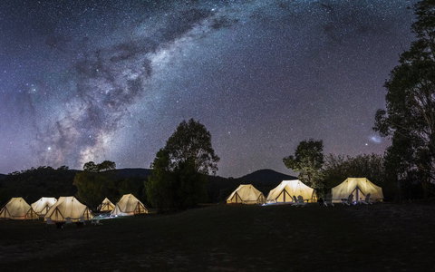 A Wild Night Out - Spring - Accommodation BNB 6