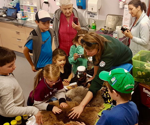 A Wild Night Out - Spring - Accommodation BNB 7