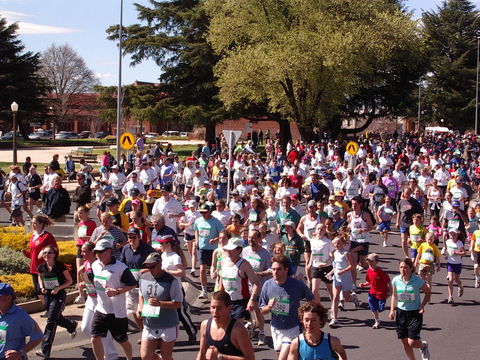 Bathurst Edgell Jog - Accommodation BNB 0