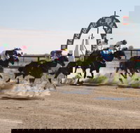 Bedourie Races and Rodeo - Accommodation BNB