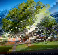 Big Bat Wildlife and Eco Festival - Accommodation BNB