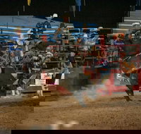 Black Opal Bull and Bronc Ride - Accommodation BNB