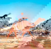 Boulia Camel Races - Accommodation BNB