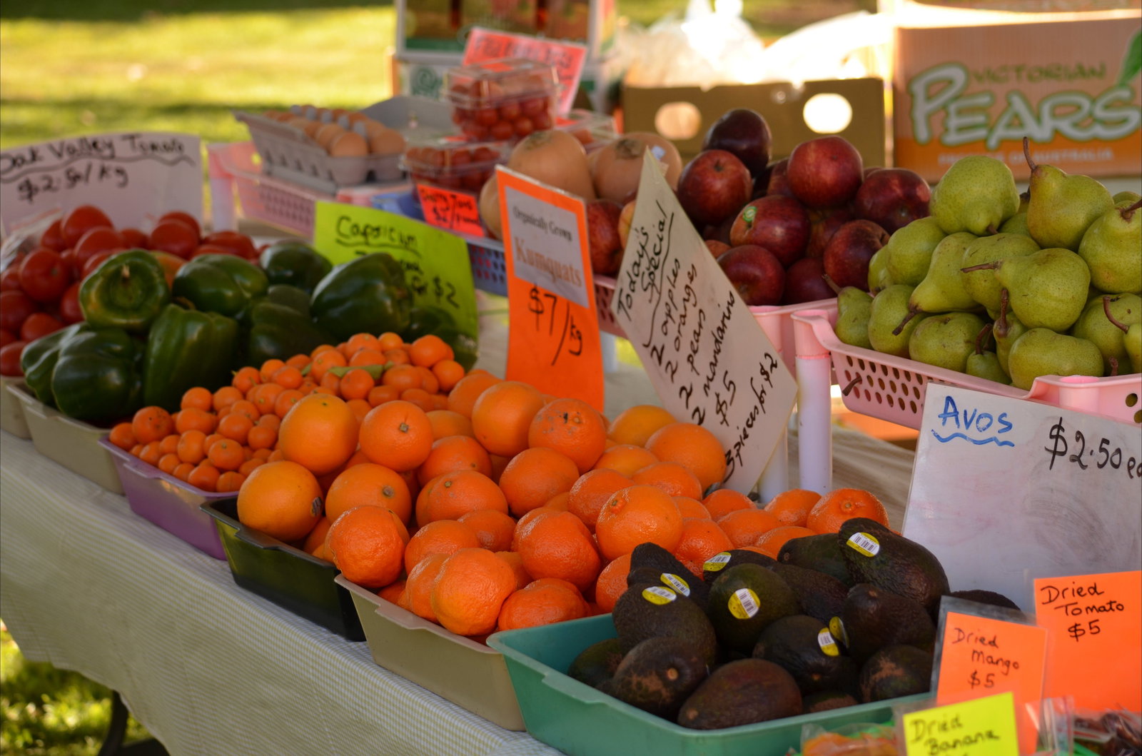 Alpha QLD Accommodation BNB