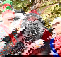 Christmas on the Plains - Quirindi - Accommodation BNB