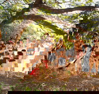 Cooktown and Cape York Expo 2021 - Accommodation BNB