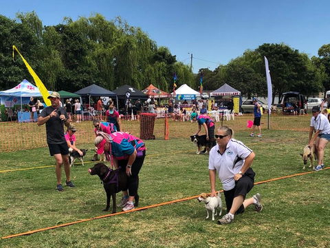 Dogs In The Park Shell Harbour - Accommodation BNB 1