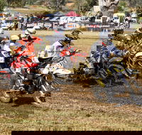 Dust Hustle Queensland Moto Park - Accommodation BNB