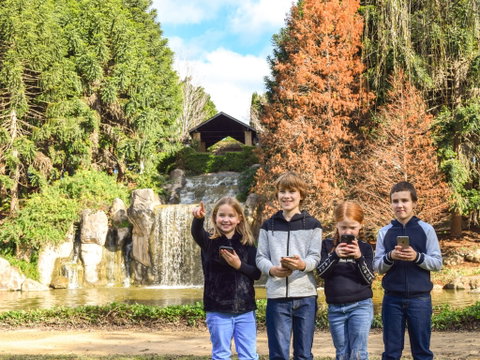 Hunter Valley Gardens Virtual Treasure Trail - Accommodation BNB 1