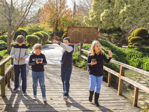 Hunter Valley Gardens Virtual Treasure Trail - Accommodation BNB 2