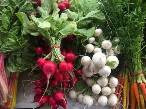 Joondalup Growers Market - Accommodation BNB 1
