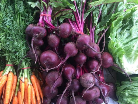 Joondalup Growers Market - Accommodation BNB 2