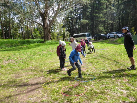 July 2020 Holidays- Forest Adventures Treasure Hunt - Accommodation BNB 0