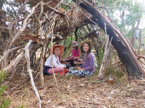 July 2020 Holidays- Forest Adventures Treasure Hunt - Accommodation BNB 2