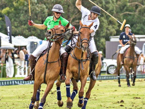 Land Rover Polo In The City - Accommodation BNB 0