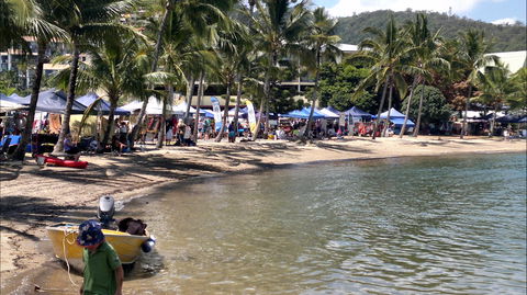 Lions Airlie Beach Community Markets - Accommodation BNB 0