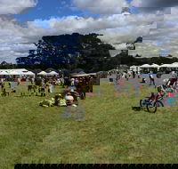Majors Creek Festival - Accommodation BNB