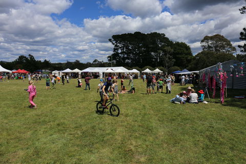 Majors Creek Festival - Accommodation BNB 0