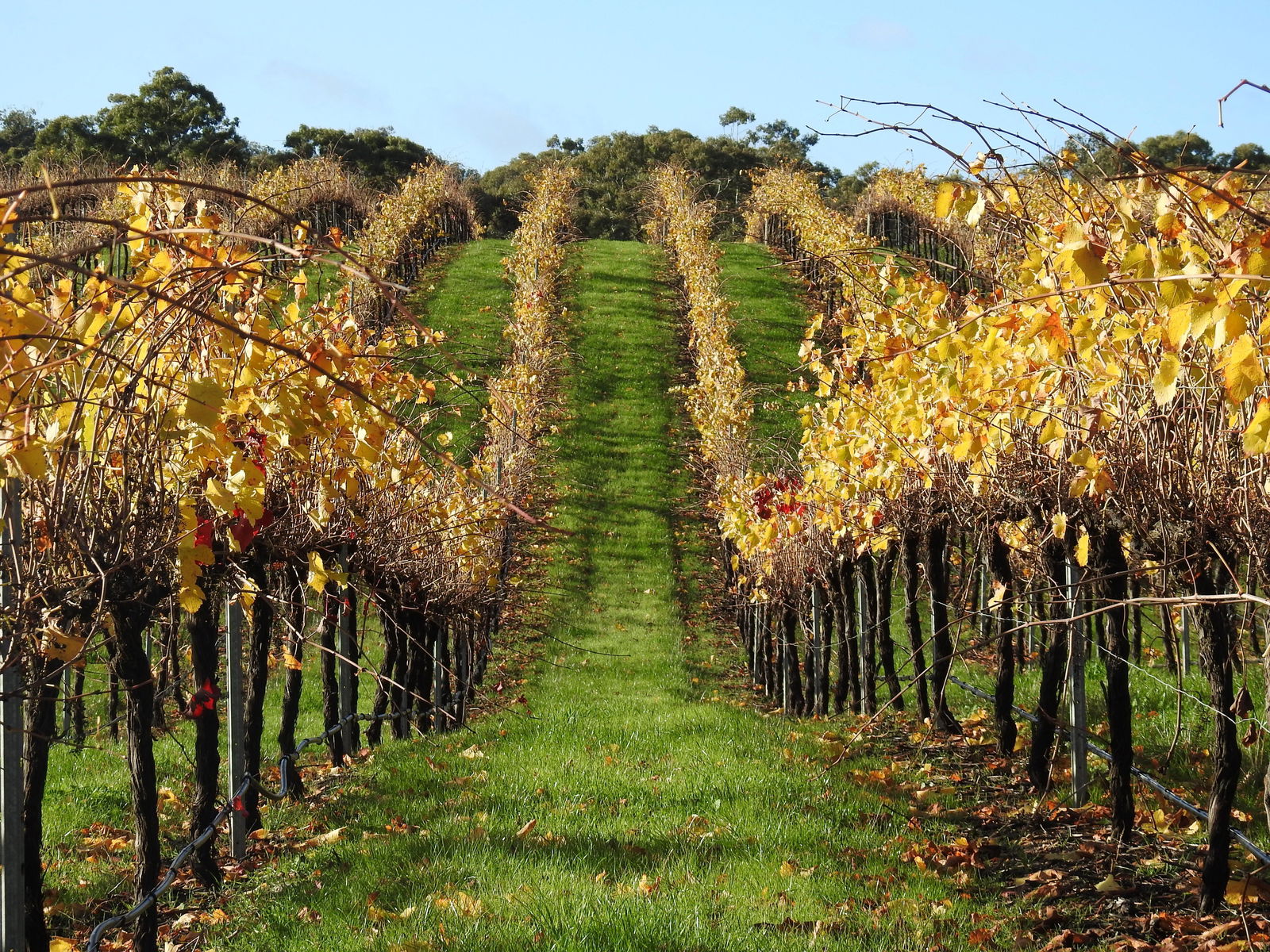 Armstrong VIC Accommodation BNB