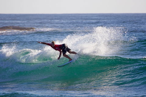 Mothernest Great Lakes Pro - Accommodation BNB 2