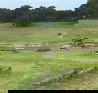 Mount Gambier and District Pony Club Horse Trials 2020 - Accommodation BNB