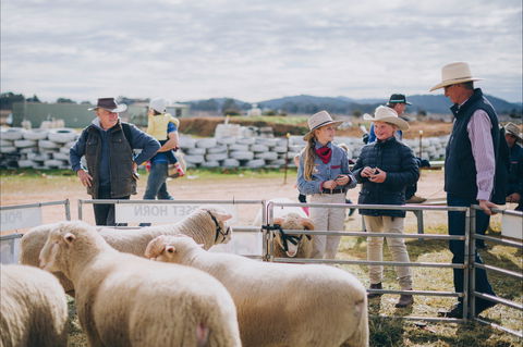Mudgee Small Farm Field Days - Accommodation BNB 0