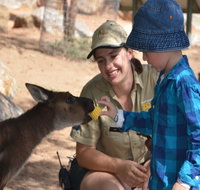 Mums and Cubs And Dads too - Accommodation BNB