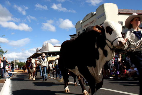 NCMC Casino Beef Week - Accommodation BNB 1