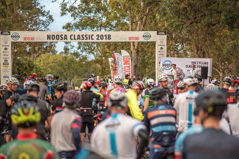 Noosa Classic - Accommodation BNB 1