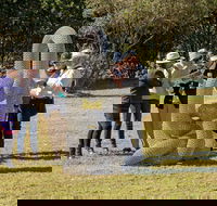 Sculpture for Clyde - Outdoor Exhibition - Accommodation BNB