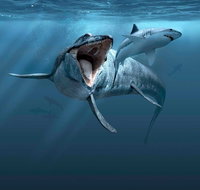 Sea Monsters - Prehistoric Ocean Predators