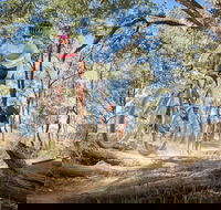 Shimano Mountain Bike Grand Prix  Logan - Accommodation BNB